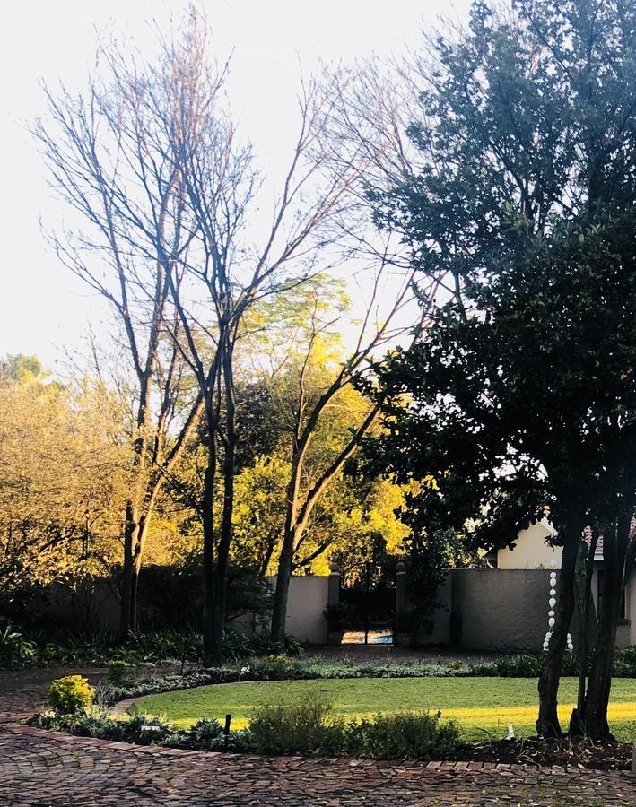 Bella B'S Bed & Breakfast Johannesburg Exterior photo
